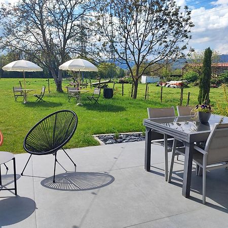 Chez " Les Ligibell " Bed and Breakfast Wintzenheim Εξωτερικό φωτογραφία